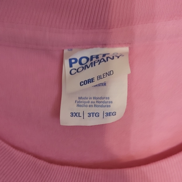 Port & Company Pink "Teaching My Favorite Peeps" Graphic SS T-Shirt Size 3XL - Picture 3 of 7